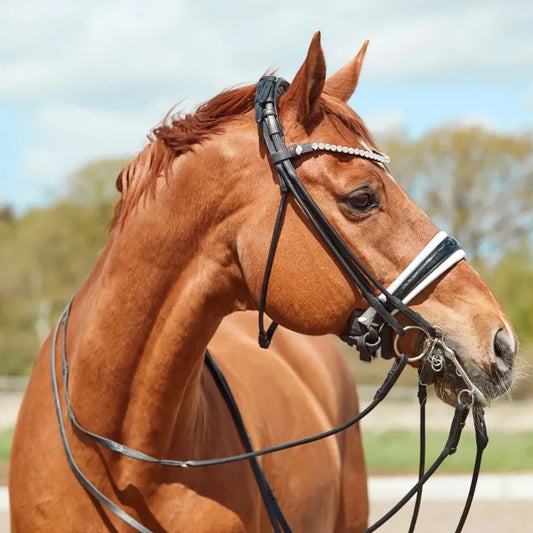 Finesse Stirnband Clincher